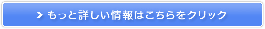 ؓ̂߂̃XLPAy500~j^[z̔TCg